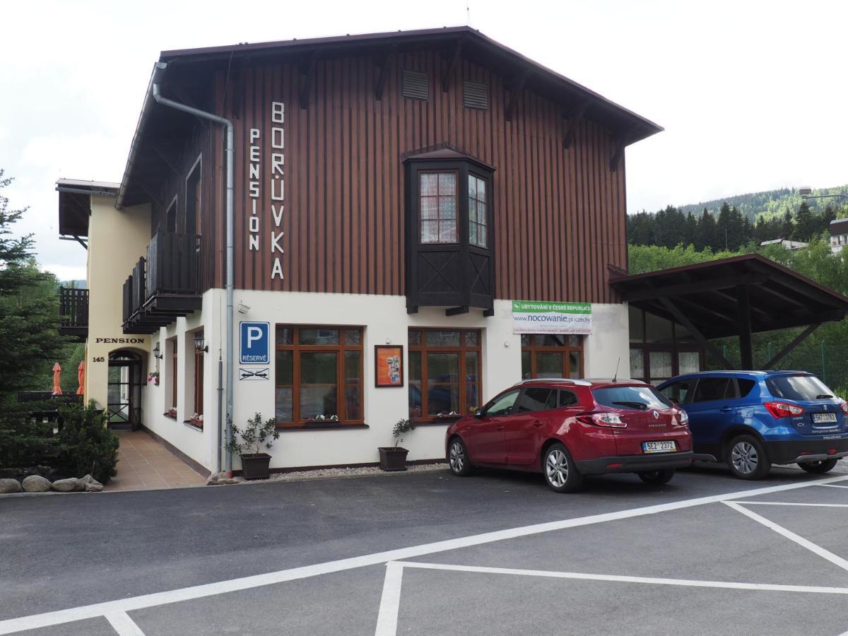 Apartman Boruvka Spindleruv Mlyn Exterior photo